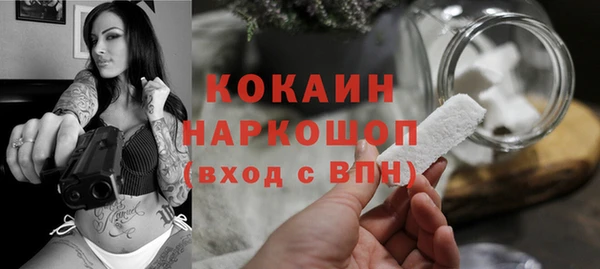 гашик Карпинск