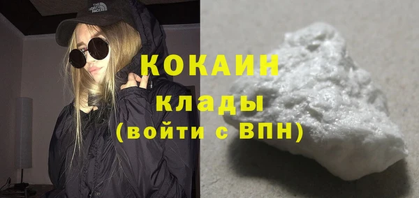 гашик Карпинск