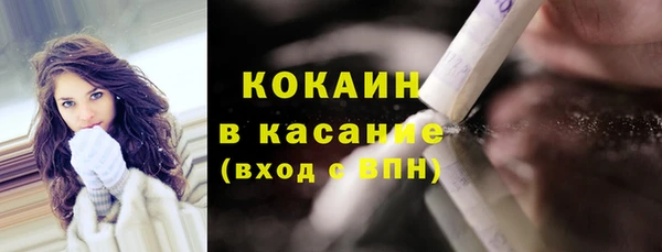 гашик Карпинск
