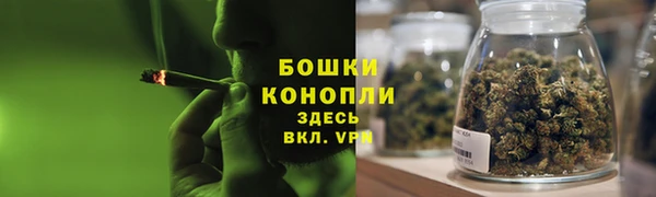 гашик Карпинск