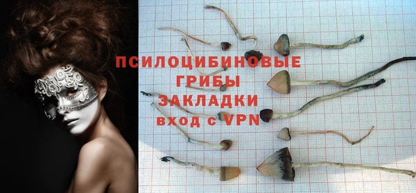 гашик Карпинск