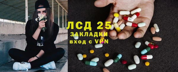 гашик Карпинск