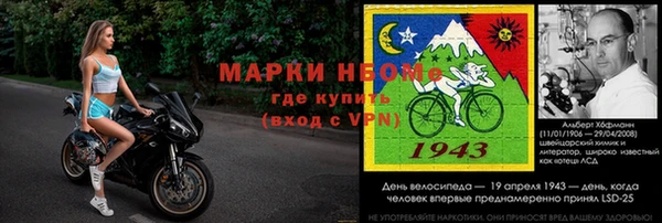 гашик Карпинск