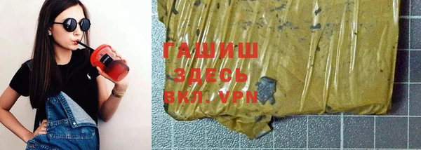 гашик Карпинск