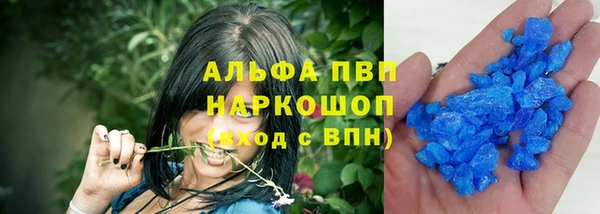 гашик Карпинск