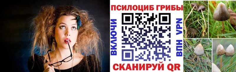 Купить закладки  Борзя  Галлюциногенные грибы мицелий 