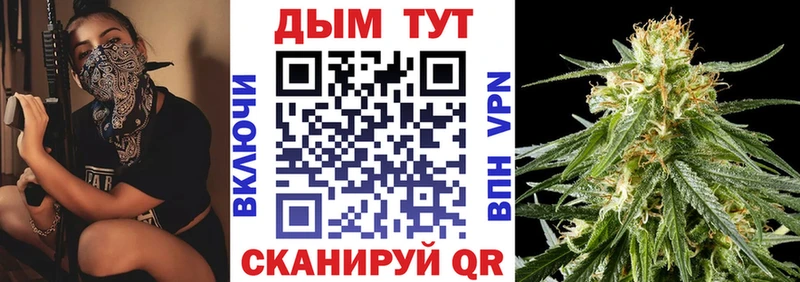 Бошки Шишки MAZAR Борзя